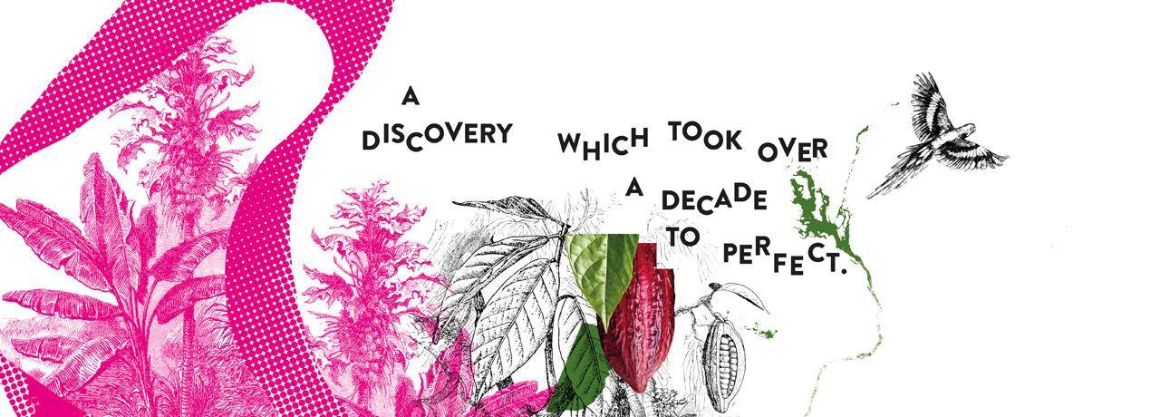 Callebaut Ruby RB1 chocolade