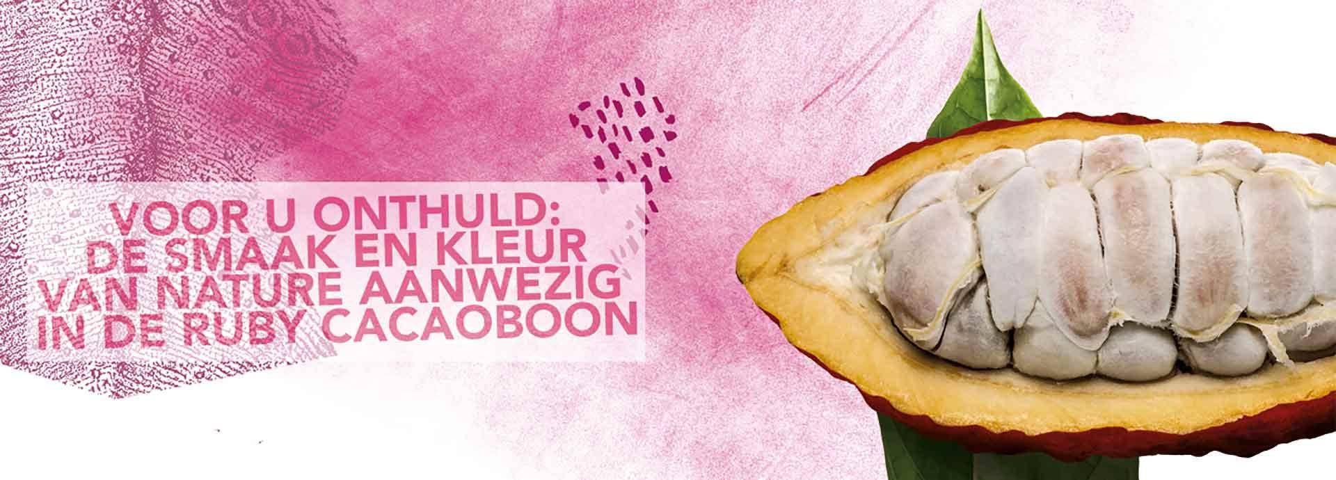 Callebaut Ruby RB1 chocolade