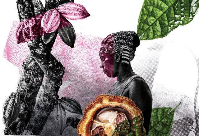 Callebaut Ruby RB1 chocolade