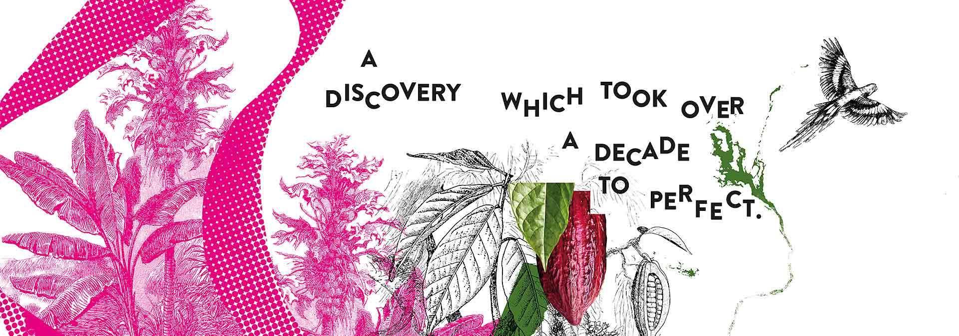 Callebaut Ruby RB1 チョコレート