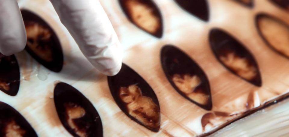 Callebaut chocolates sealed