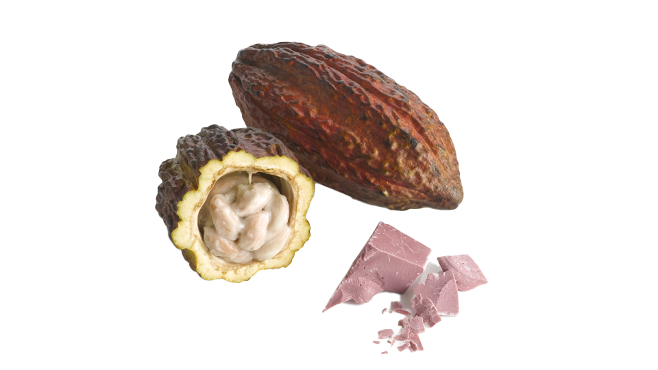 Ruby RB2 Kakaobohne und Schokolade