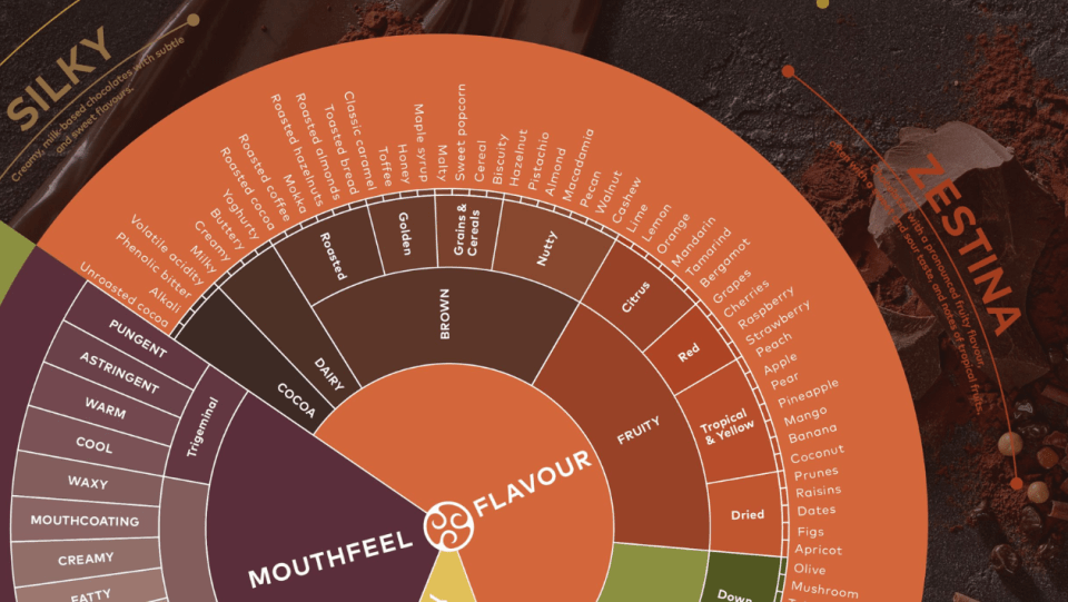 Callebaut taste wheel teaser