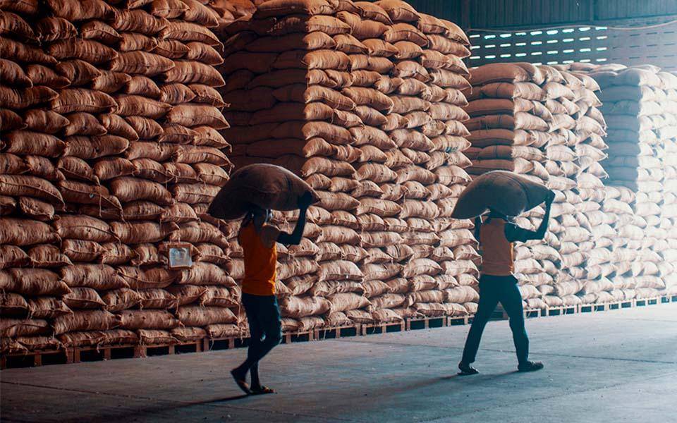 callebaut_traceable_cocoa_jutebags