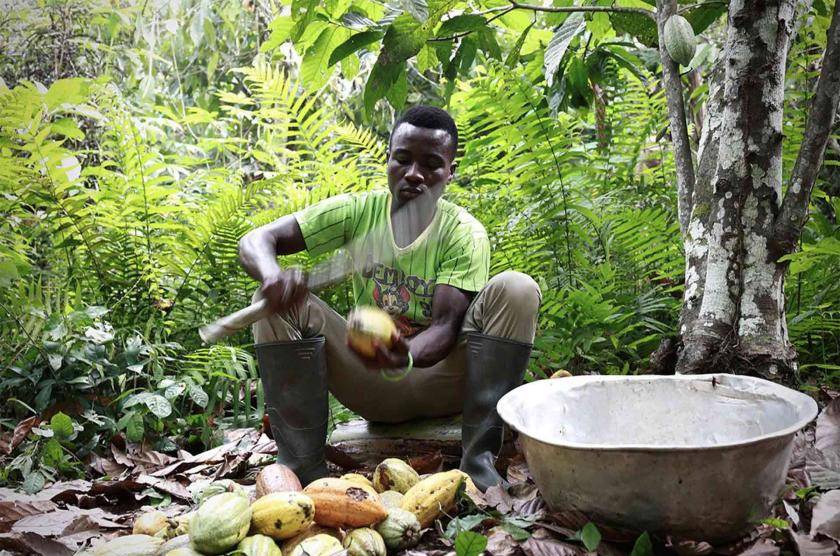  FOSTERING A NEW GENERATION OF YOUNG FARMERS