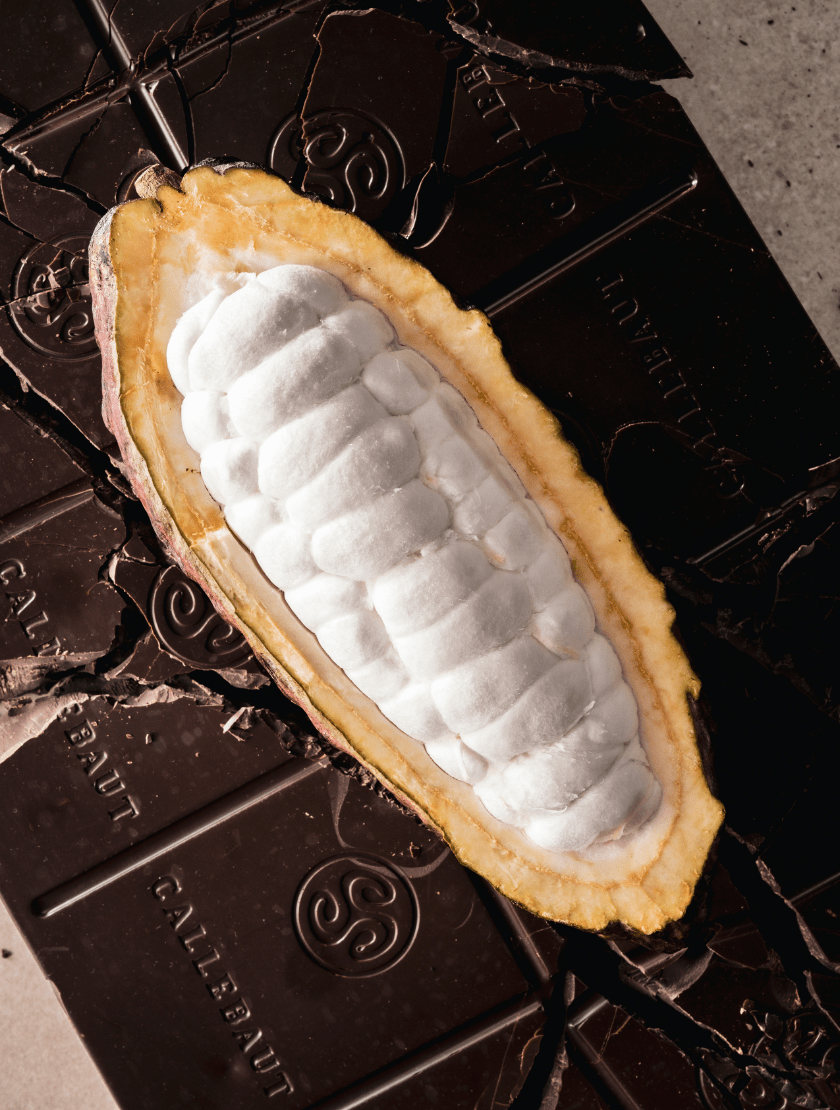 How we craft bean to bar Callebaut