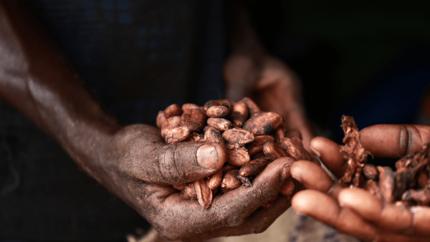 Taste begins with bean selection