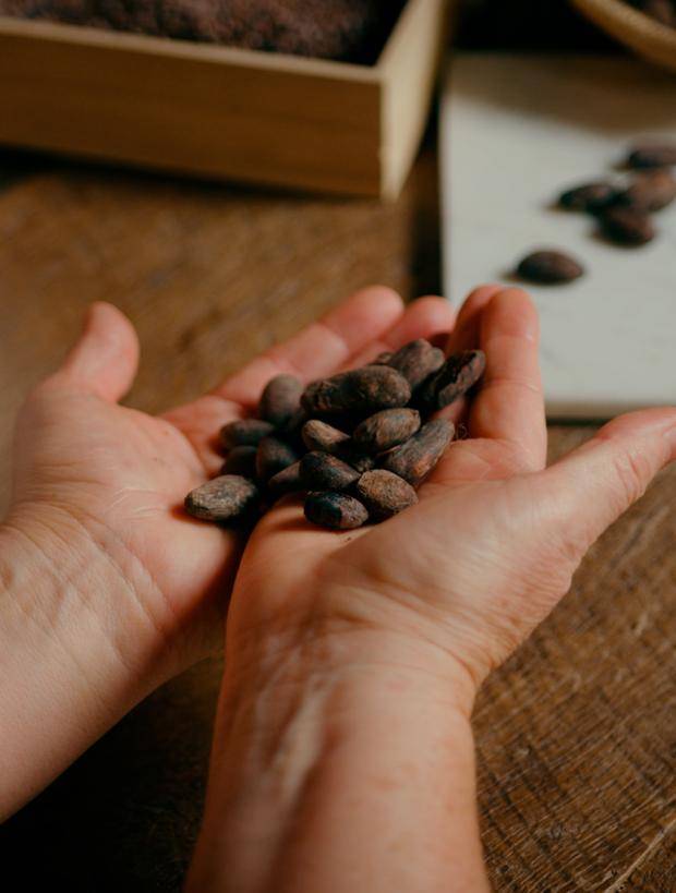 callebaut cocoa bean 