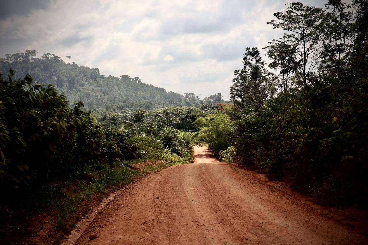 Callebaut and the EUDR, crafting a more sustainable future together