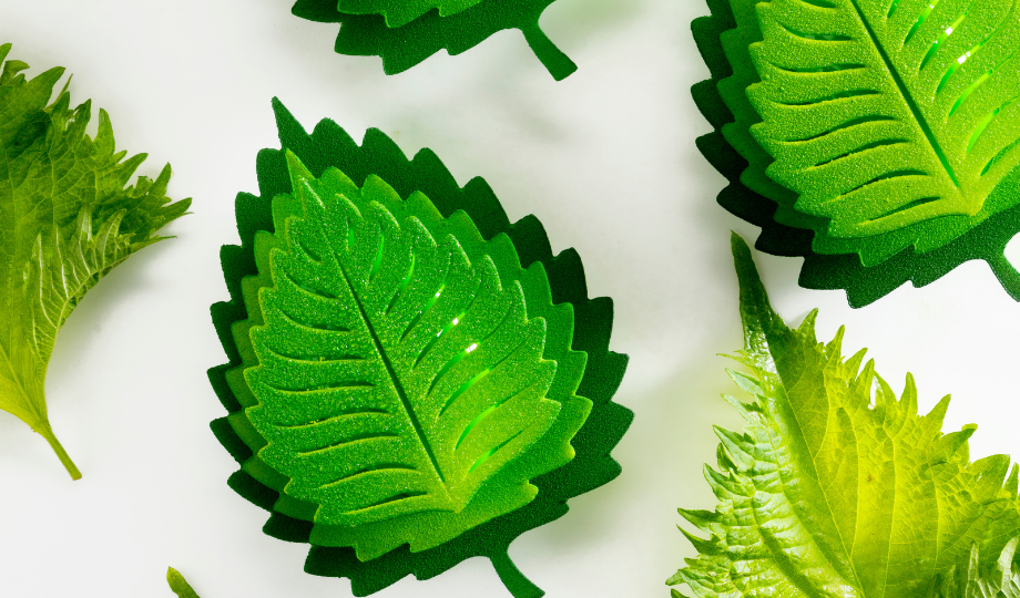 Chef Albert Daví: Shisho