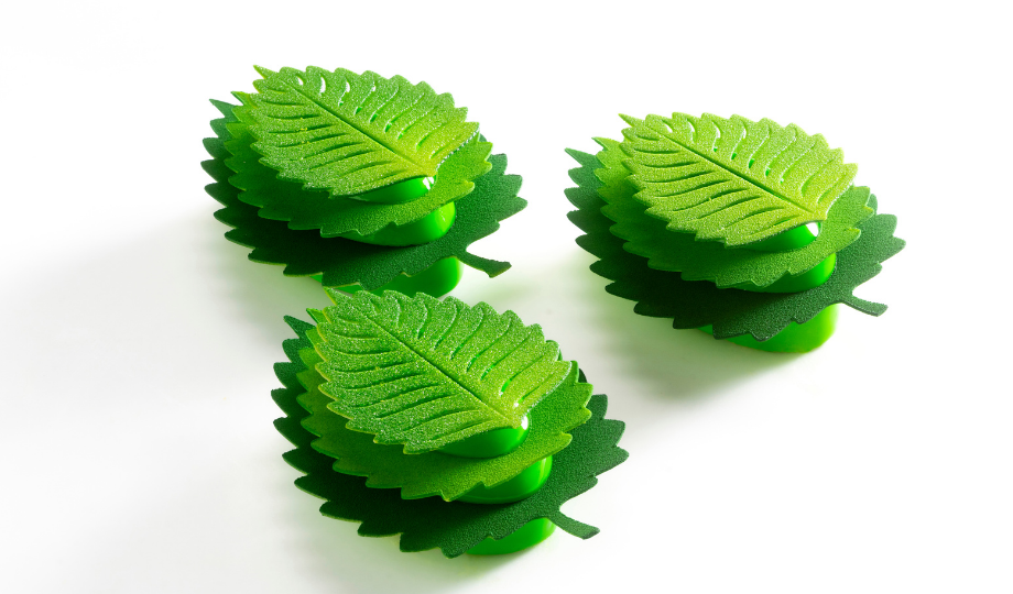 Chef Albert Daví: Shisho