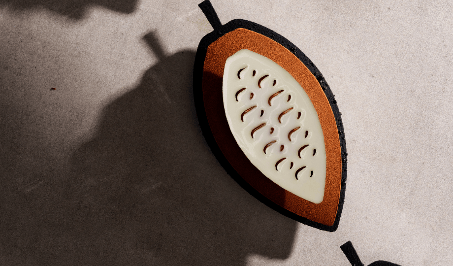 Chef Albert Daví: Cocoa 365