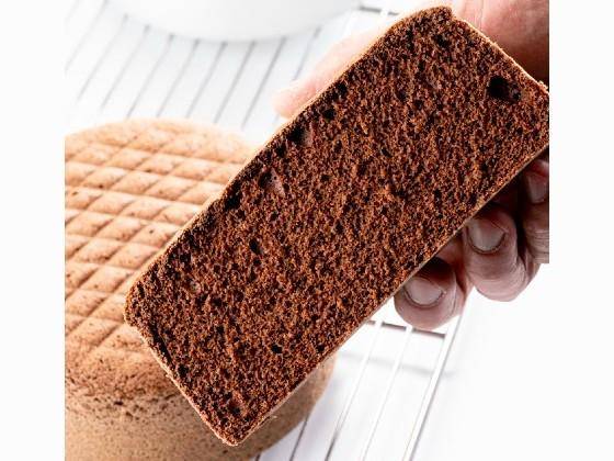 Cross section of a cake