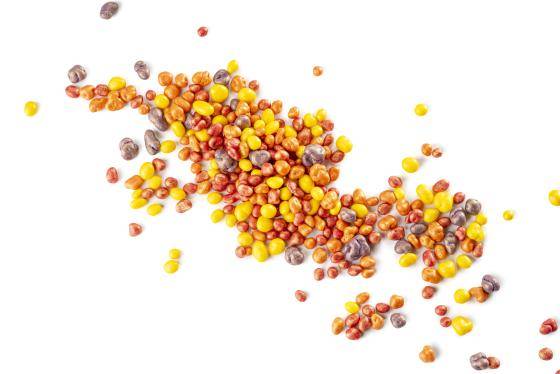 Grageas de chocolate ONLINE